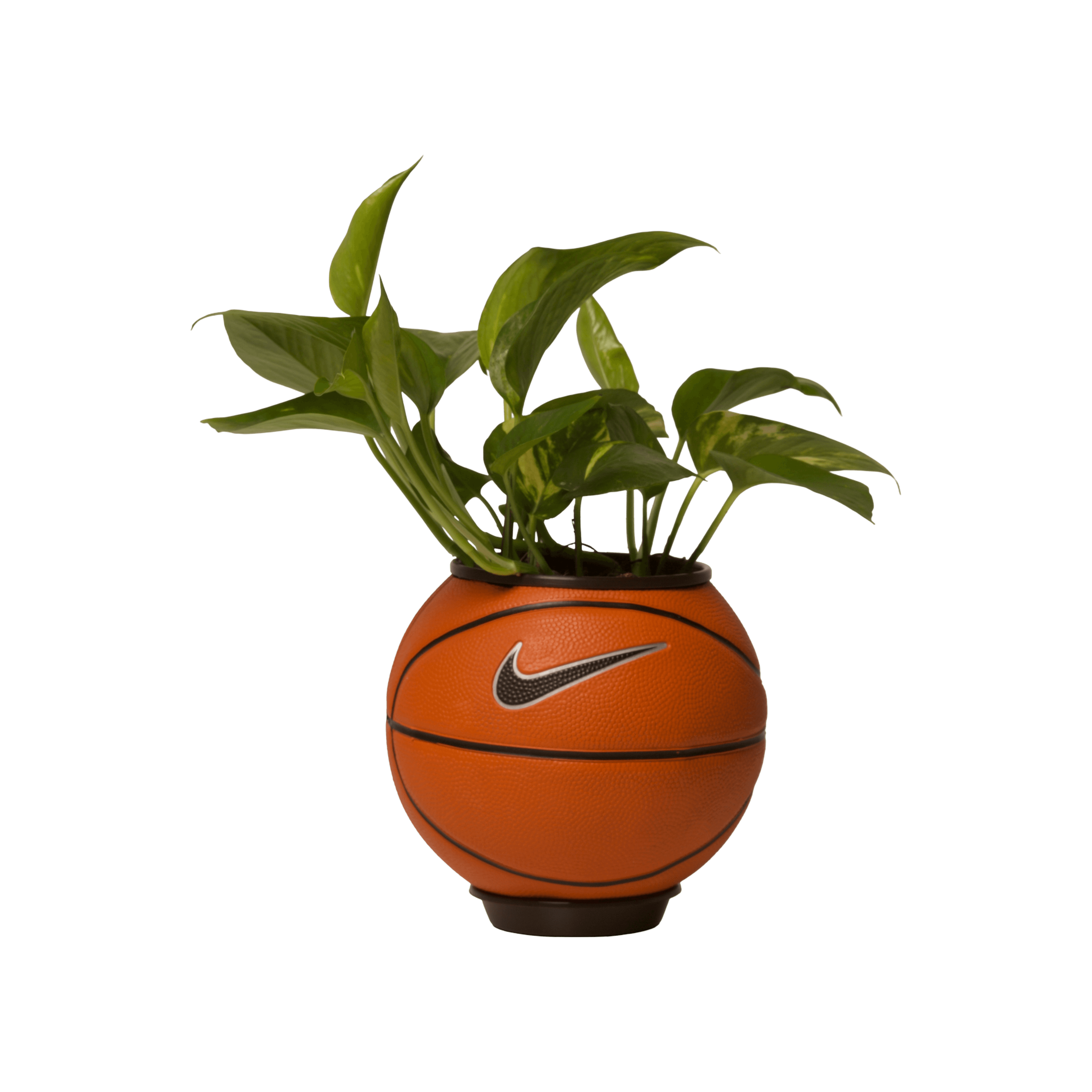 Plant Ball 3